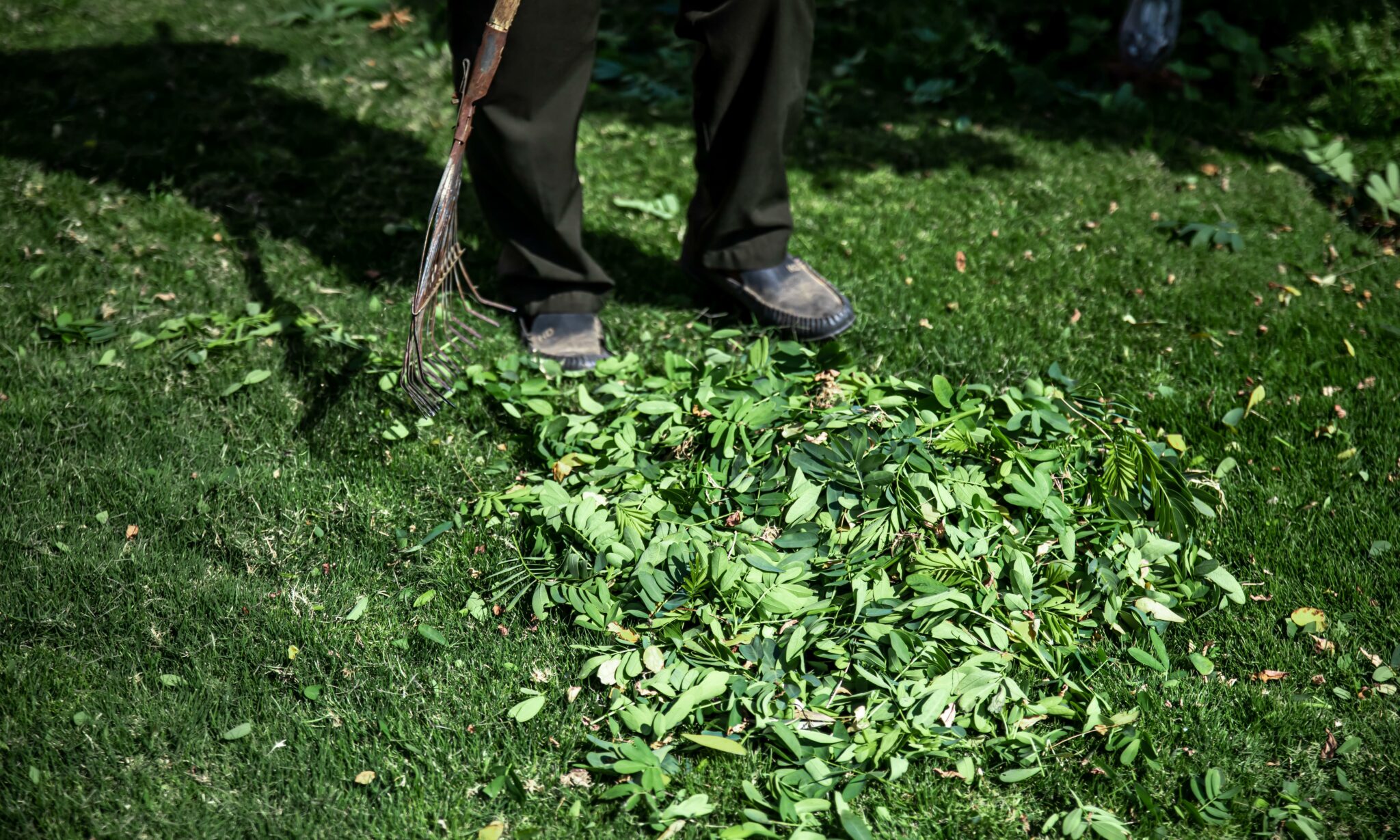 serrated-metal-rake-garden-cleaning (1)